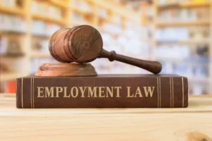 No Win No Fee Solicitors For Employment