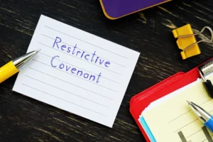 Restrictions After Termination of Employment